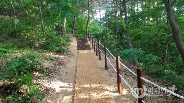 대전 동구 샘골근린공원 내 새롭게 설치된 목재계단과 야자매트 모습. 대전 동구 제공