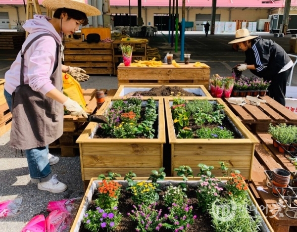 지역을 돌보는 꽃집 커뮤니티형 정원프로젝트 천안케어, 꽃천안. 청춘여가연구소 제공