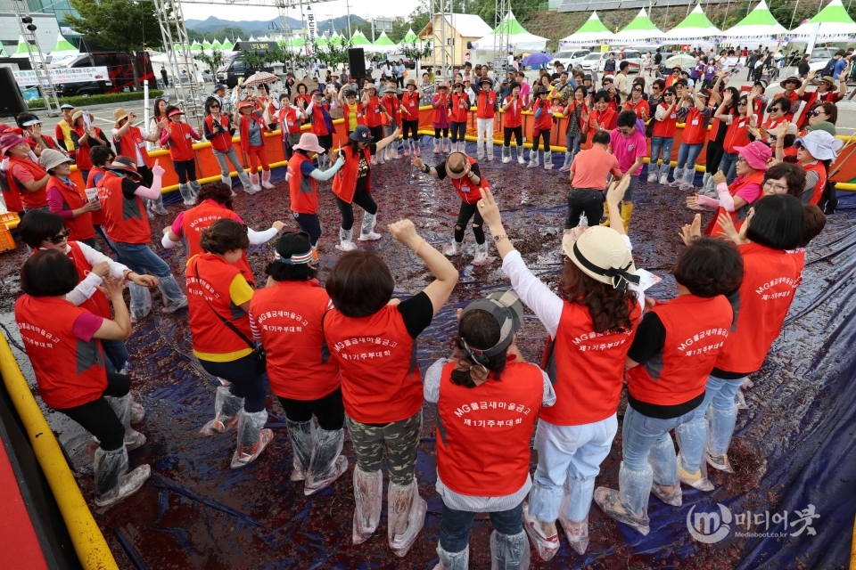‘영동포도축제’가 3년만에 대면축제로 개최한다. 영동군 제공