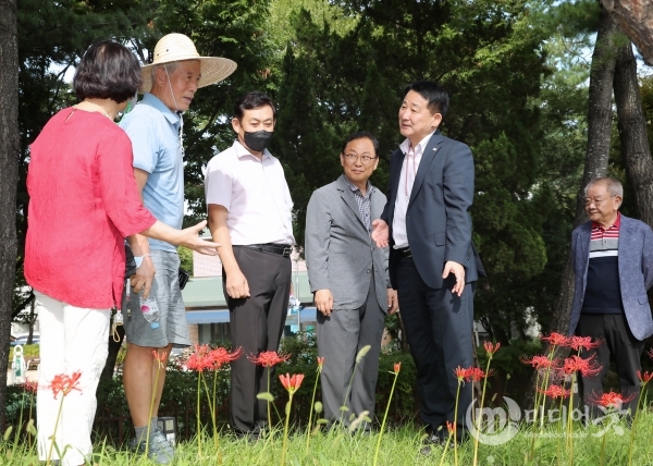 만년동 석산화 꽃길을 찾은 서철모 서구청장. 대전 서구 제공