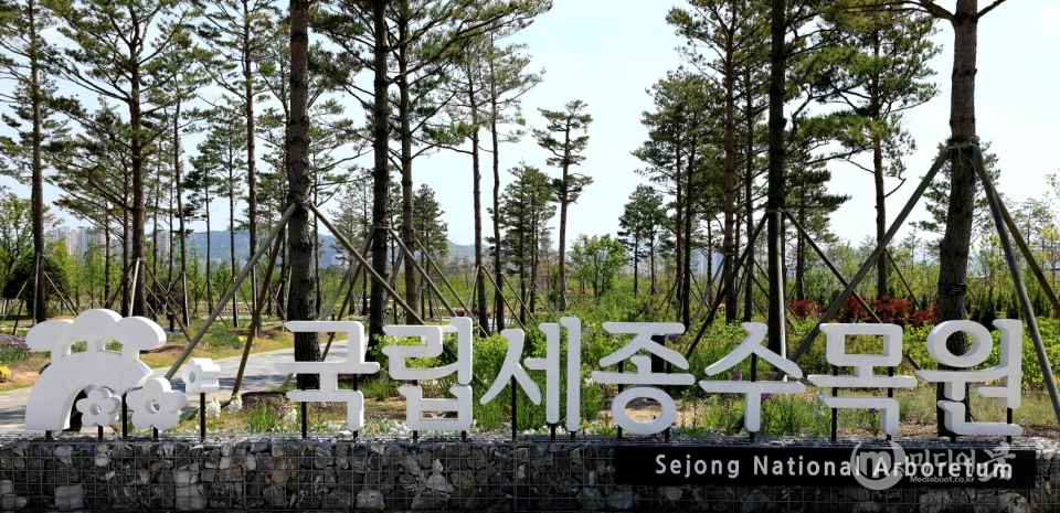 국립세종수목원 방문자센터 앞. 한국수목원정원관리원 제공